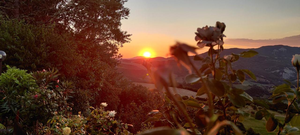 B&B La Terrazza Del Subasio Asyż Zewnętrze zdjęcie
