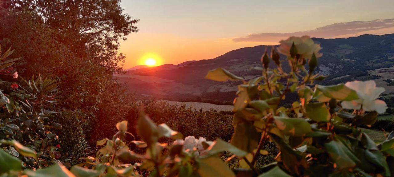 B&B La Terrazza Del Subasio Asyż Zewnętrze zdjęcie