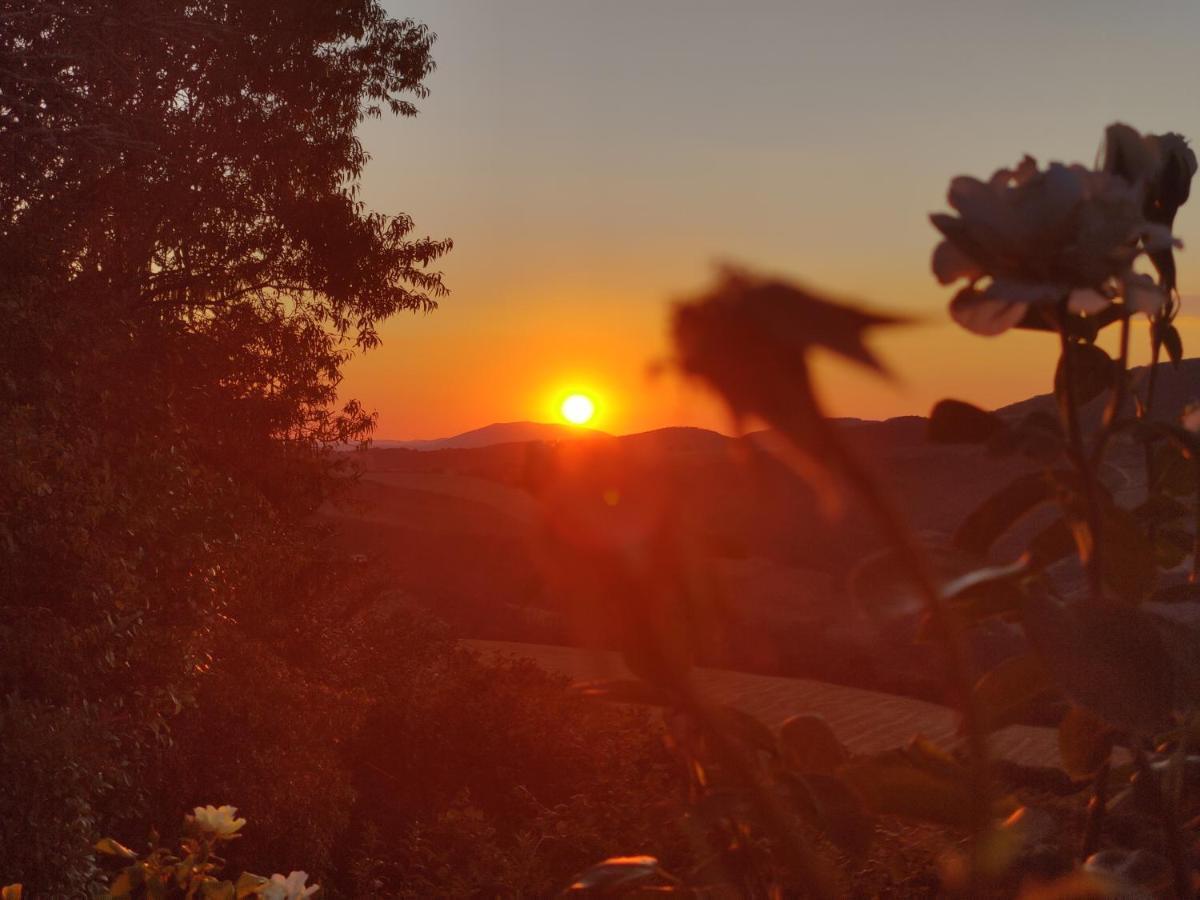 B&B La Terrazza Del Subasio Asyż Zewnętrze zdjęcie
