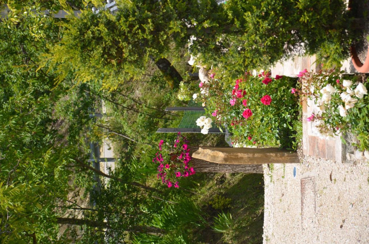B&B La Terrazza Del Subasio Asyż Zewnętrze zdjęcie