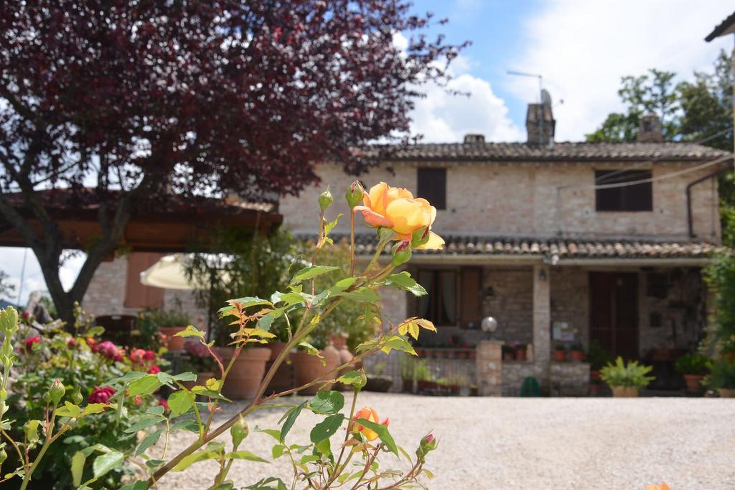B&B La Terrazza Del Subasio Asyż Zewnętrze zdjęcie