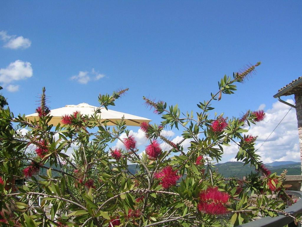 B&B La Terrazza Del Subasio Asyż Pokój zdjęcie