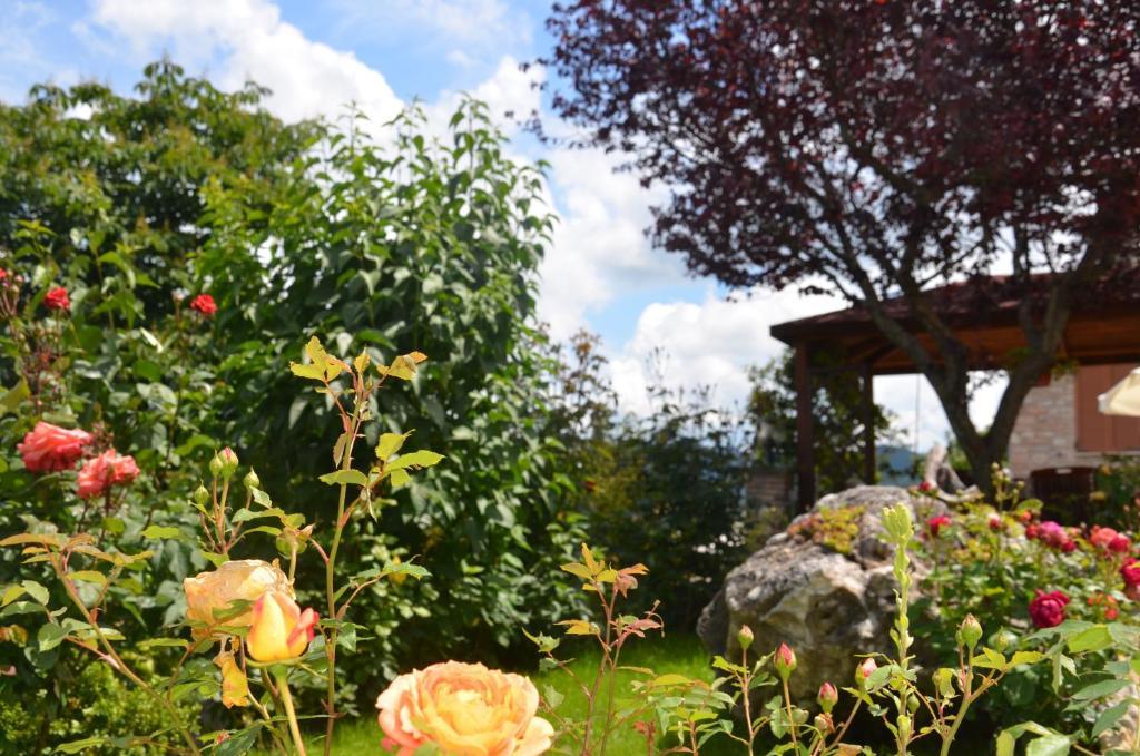 B&B La Terrazza Del Subasio Asyż Zewnętrze zdjęcie