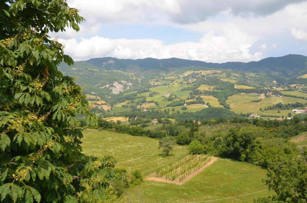 B&B La Terrazza Del Subasio Asyż Zewnętrze zdjęcie