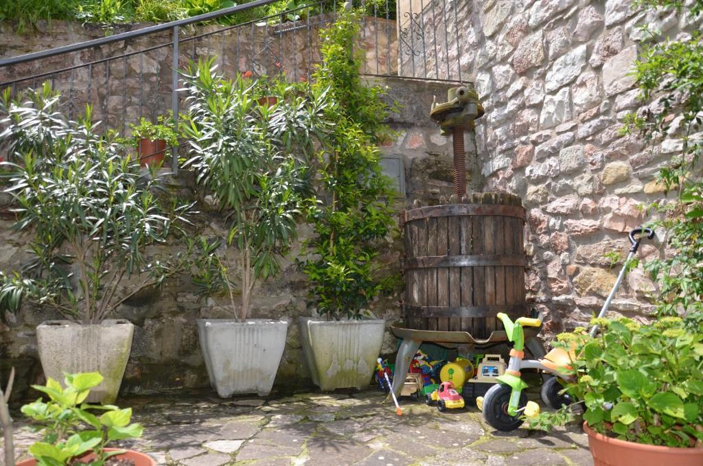 B&B La Terrazza Del Subasio Asyż Zewnętrze zdjęcie