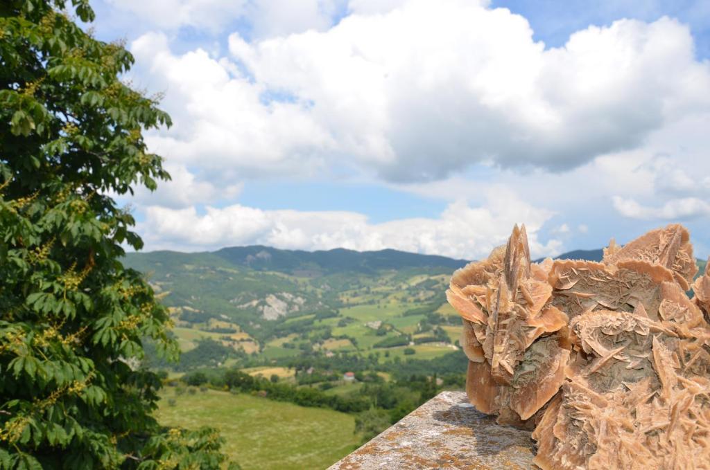 B&B La Terrazza Del Subasio Asyż Zewnętrze zdjęcie